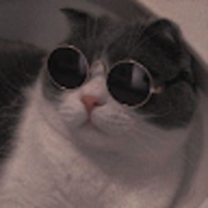 Meet your Posher, Keira